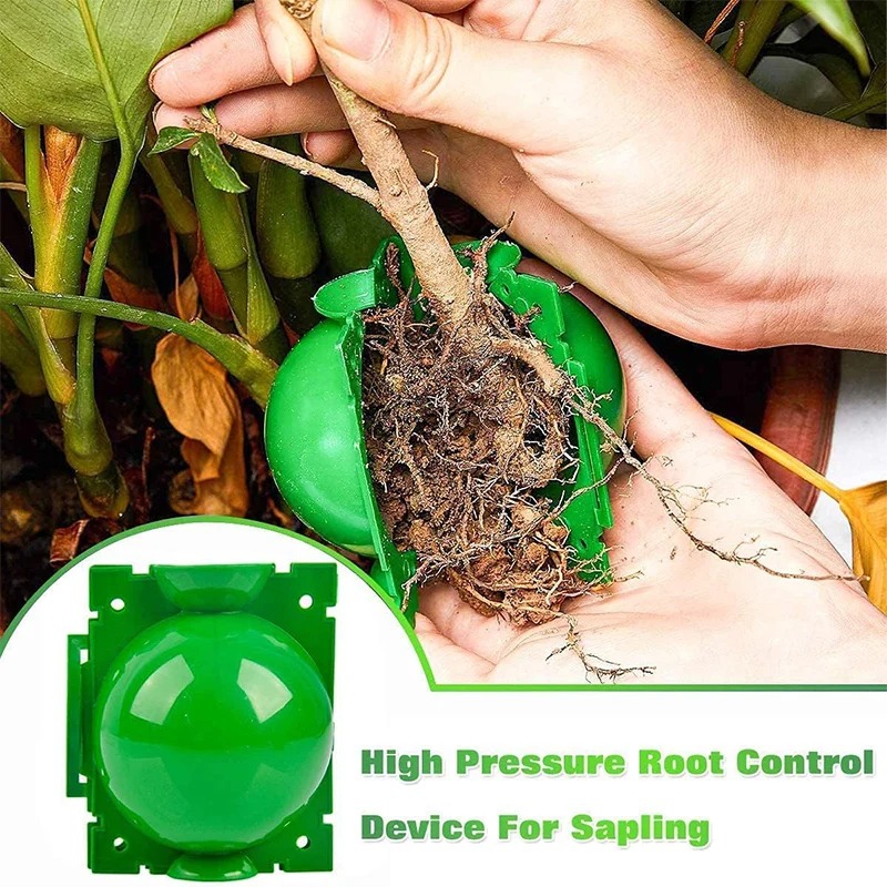 5/30Pcs Plant Rooting Ball Gra - Plant Parents 评论和价格