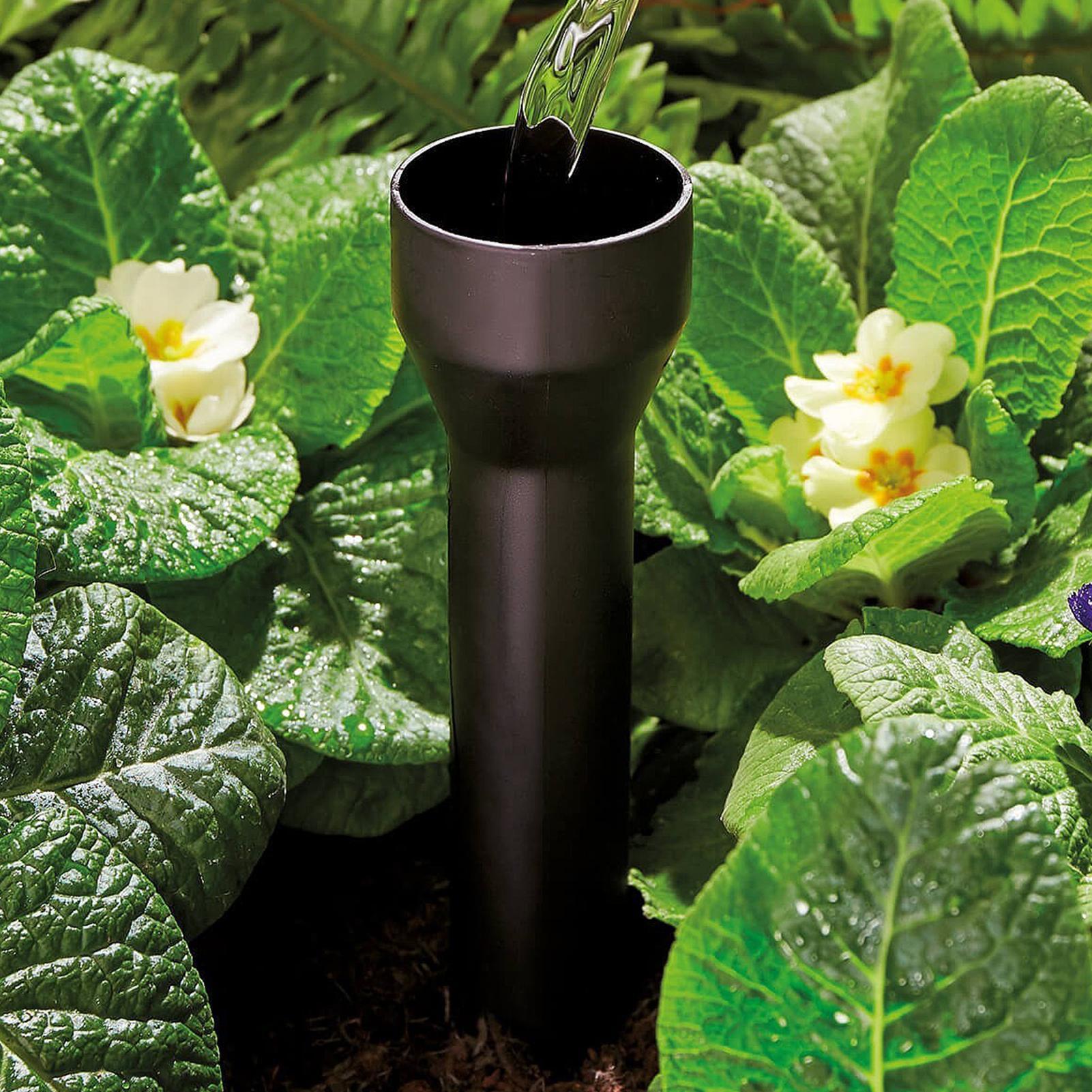 Garden Watering Spikes 3 Pack  - Plant Parents 评论和价格