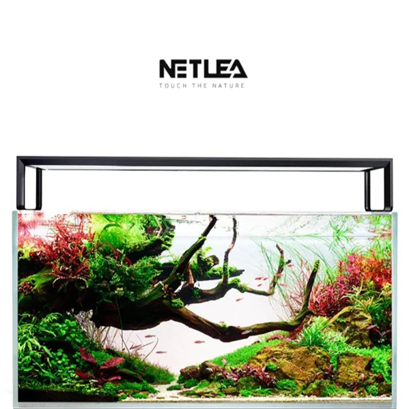 Netlea AT5S V4 Smart Wifi APP  - Plant Parent App 评论和价格