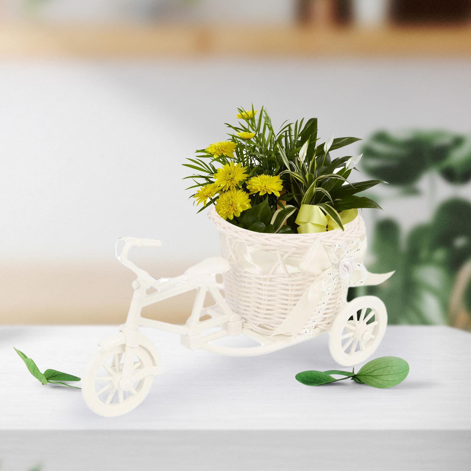 Bicycle Artificial Flower Bask - Plant Parents 评论和价格