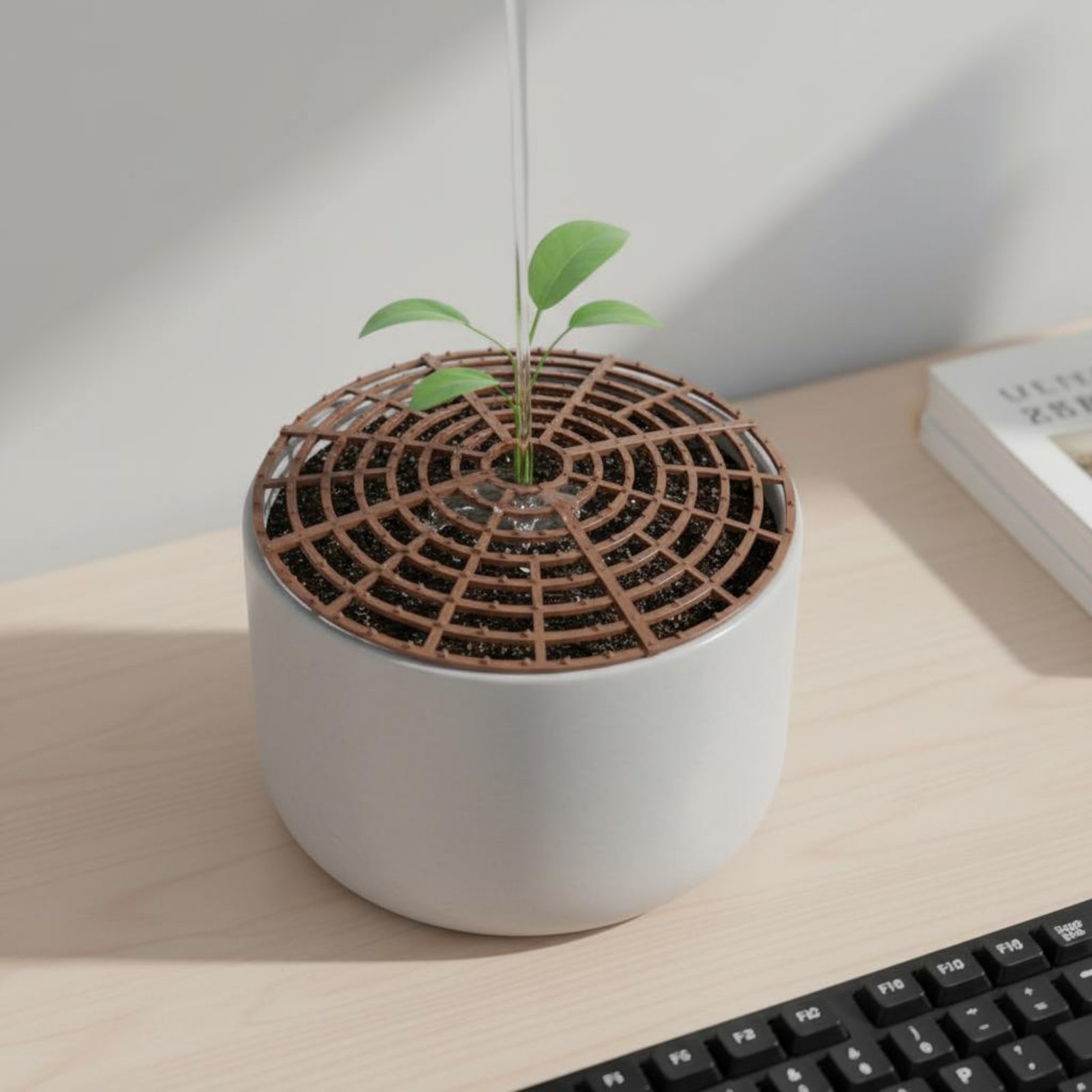 Plant Pot Soil Cover Weather R - Parent Of Plant 评论和价格