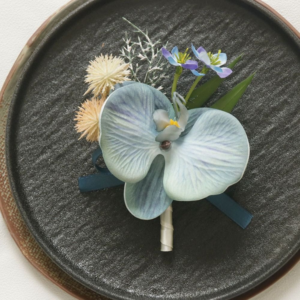 Butterfly Orchid Bridegroom-br - Orchid Phalaenopsis 评论和价格