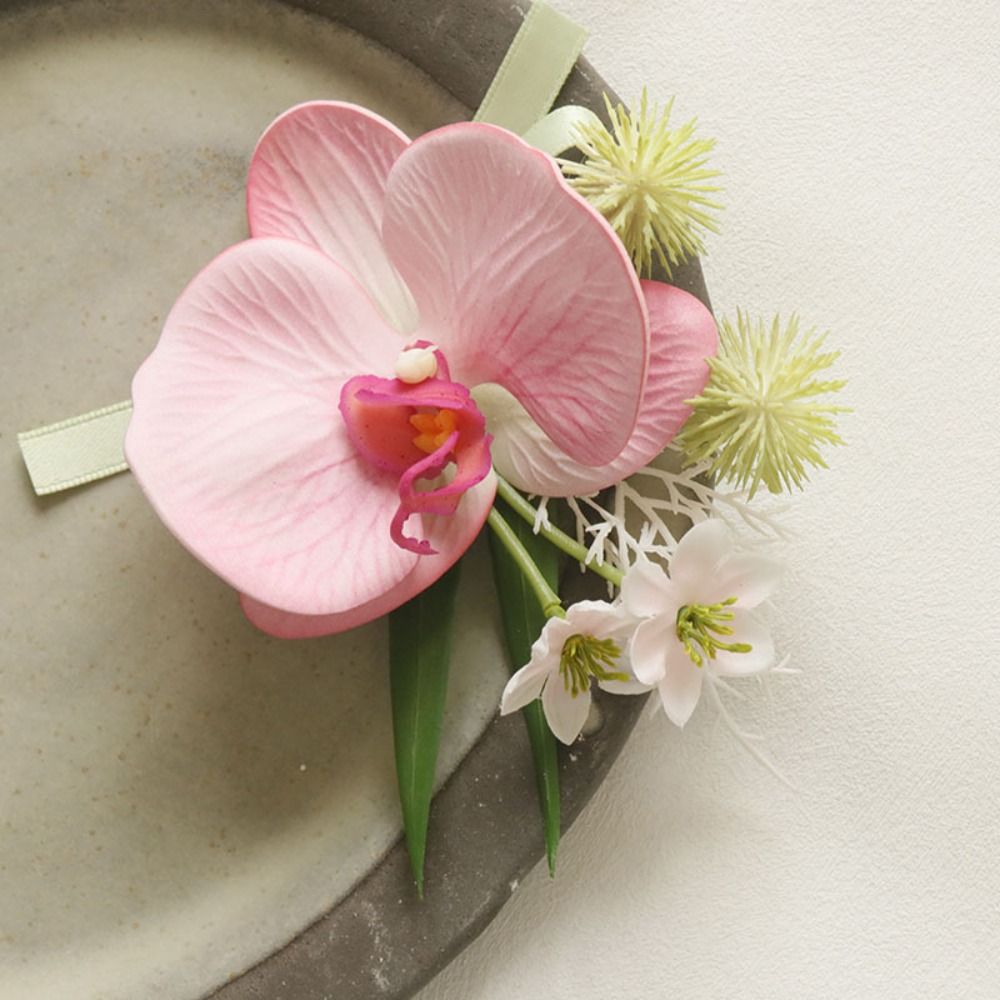 Butterfly Orchid Bridegroom-br - Orchid Phalaenopsis 评论和价格