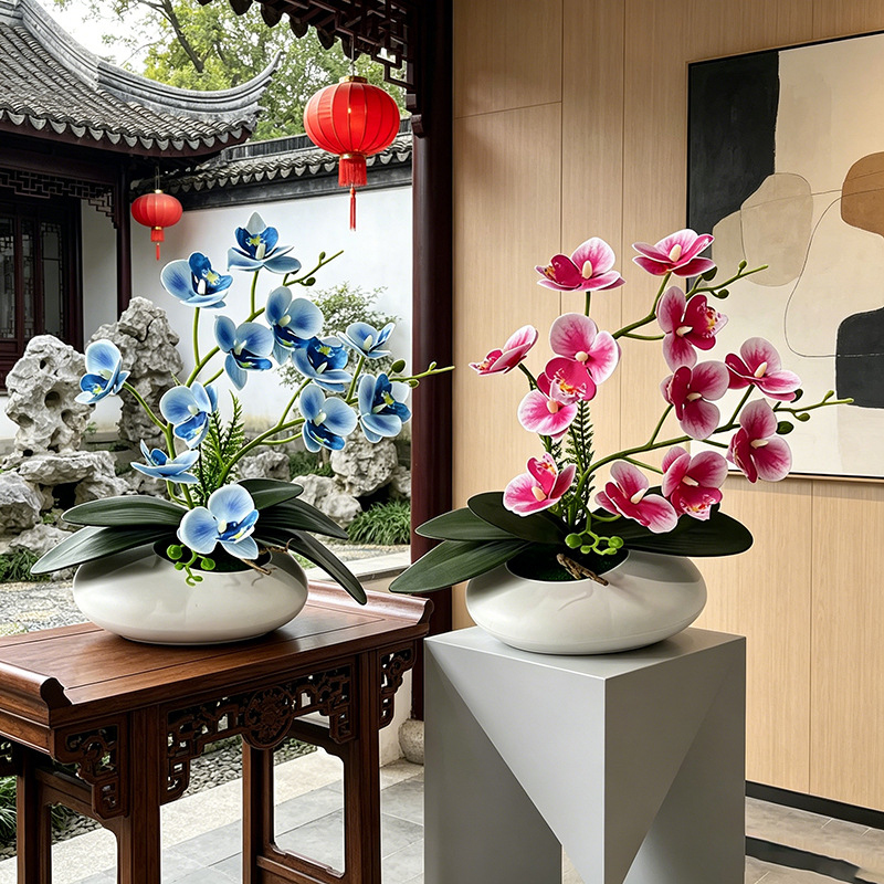 Butterfly Orchid 12 Flower Bon - Orchid Phalaenopsis 评论和价格