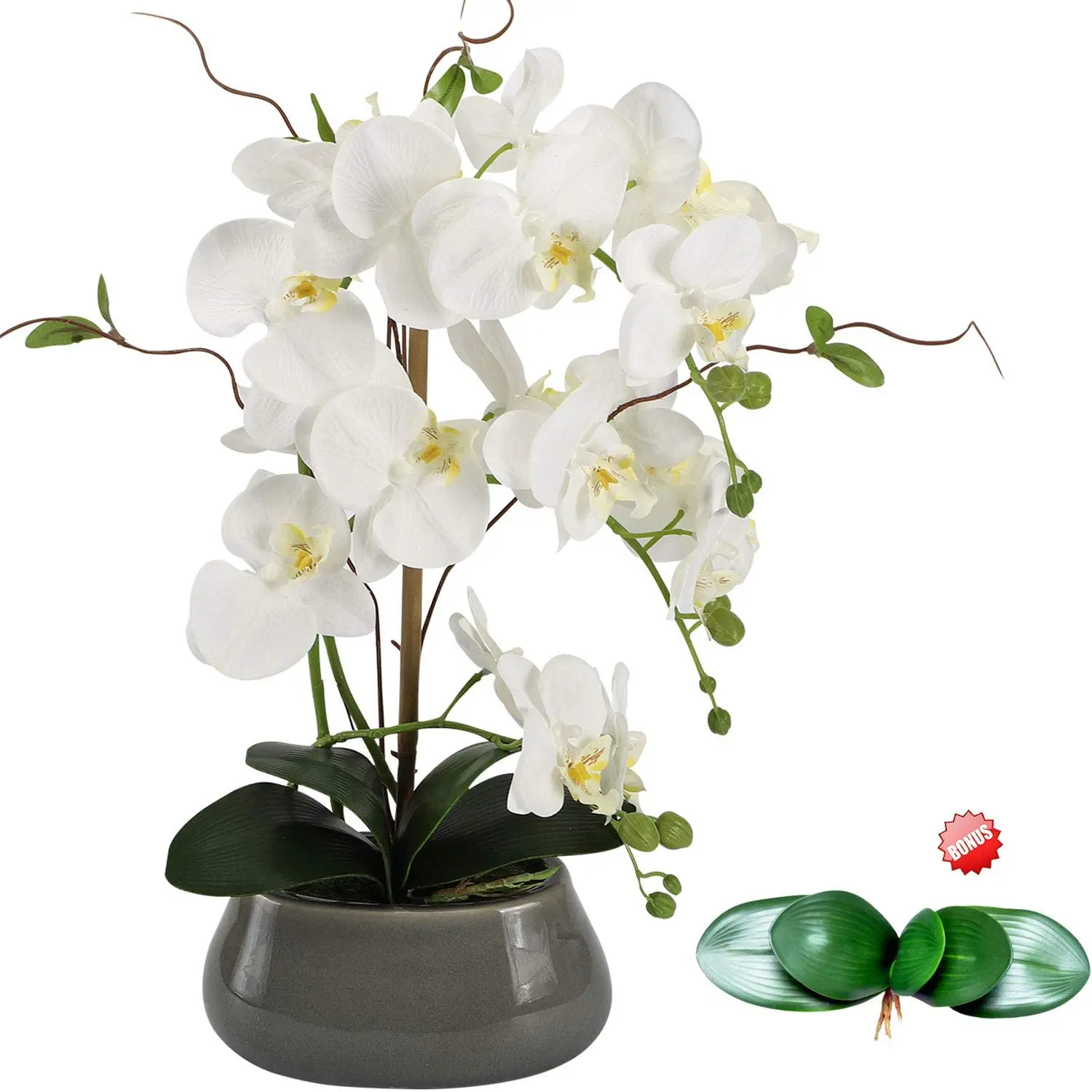 Artificial Orchid Flowers Cent - Orchid Phalaenopsis 评论和价格