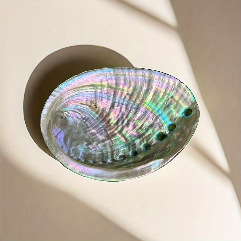 Abalone Shell Planters, Abalon - Plant Parents 评论和价格
