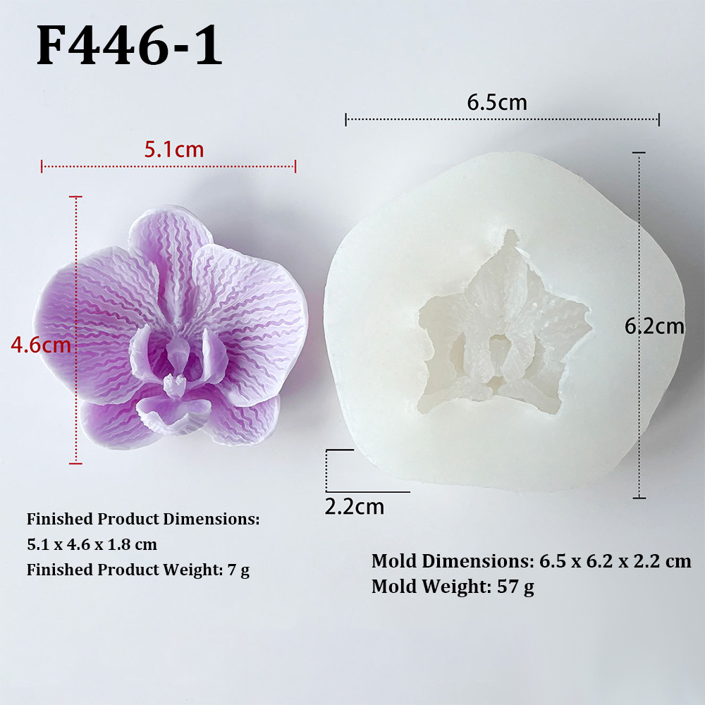 Phalaenopsis Orchid Flower-Sha - Orchid Phalaenopsis 评论和价格