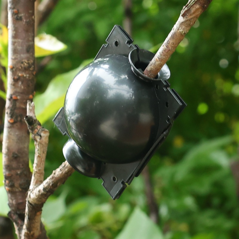 Air Layering Pods Plant Rootin - Plant Parents 评论和价格