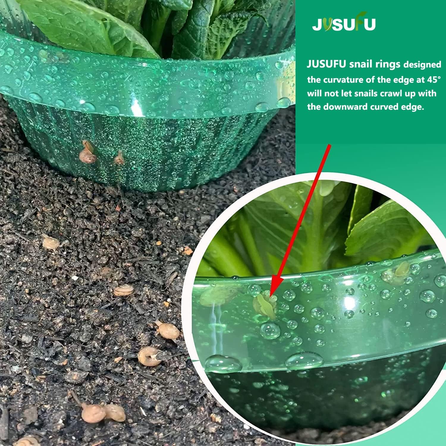 1/30pcs Plants Slug Protection - Plant Parents 评论和价格