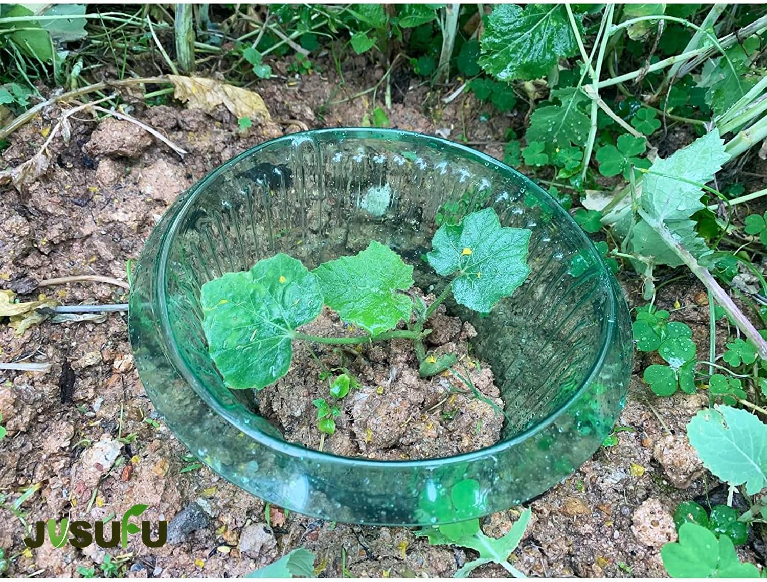 1/30pcs Plants Slug Protection - Plant Parents 评论和价格