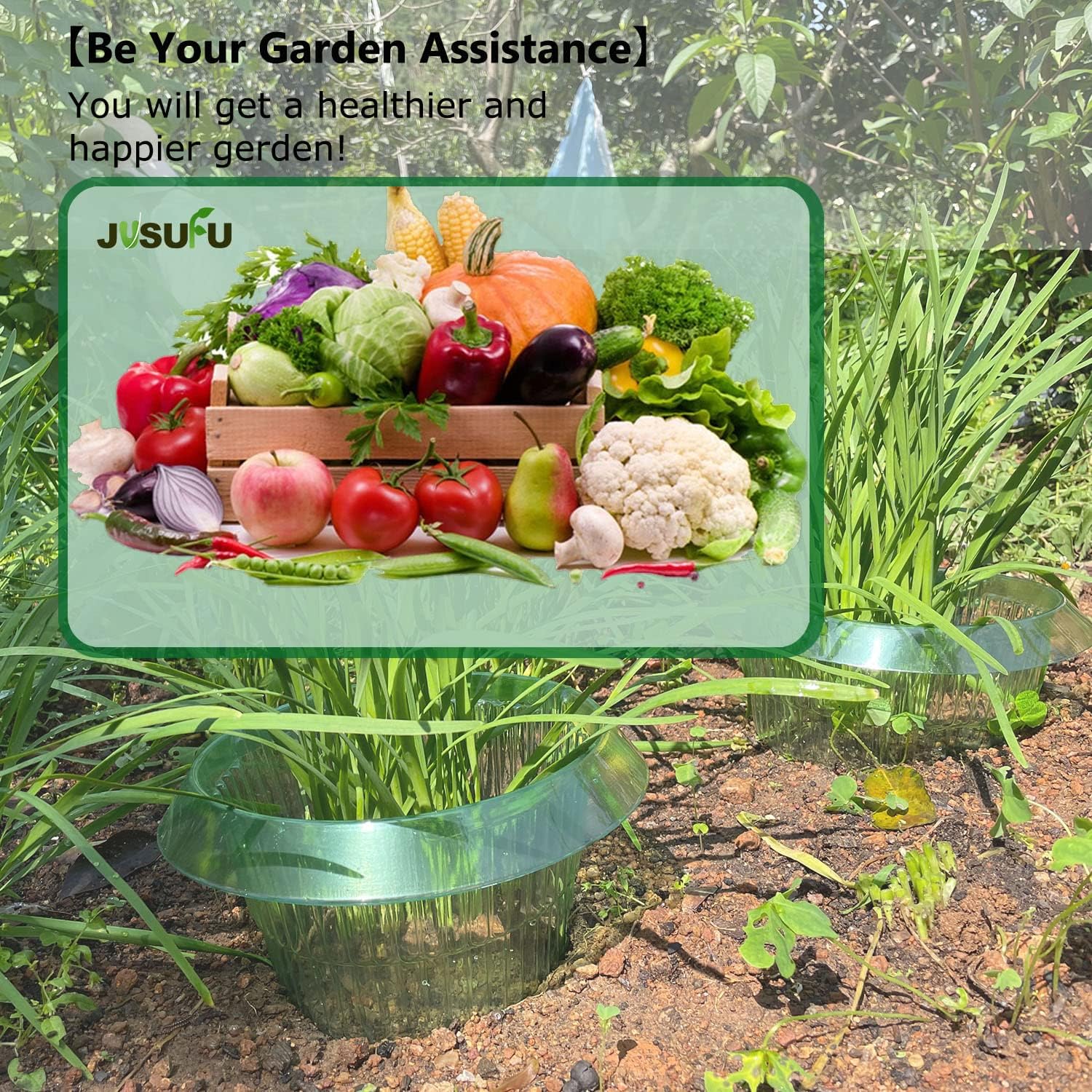 1/30pcs Plants Slug Protection - Plant Parents 评论和价格